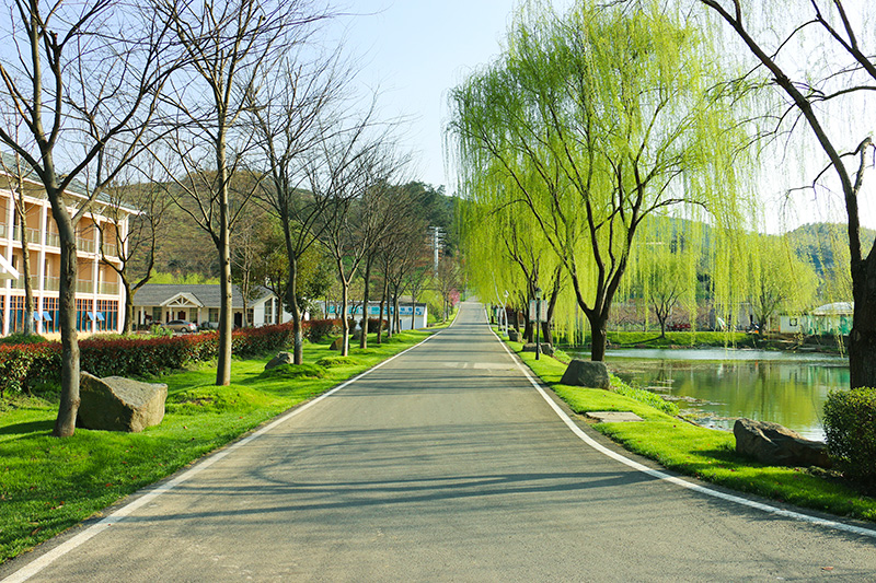 4月踏青就来溧阳欣龙生态园